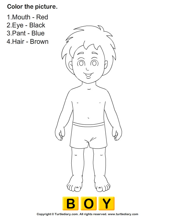 Body Parts Coloring Pages For Toddlers
 Download and print Turtle Diary s Human Body Coloring