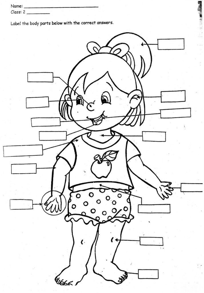 Body Parts Coloring Pages For Toddlers
 Print Body Parts Coloring Pages For Kids Laptopezine