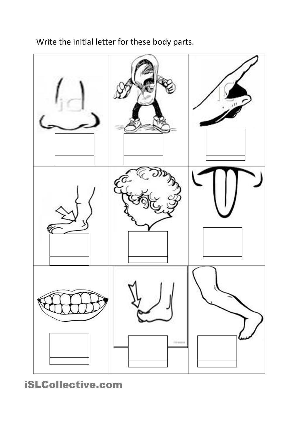 Body Parts Coloring Pages For Toddlers
 Body Parts For Kids Coloring Pages Coloring Home