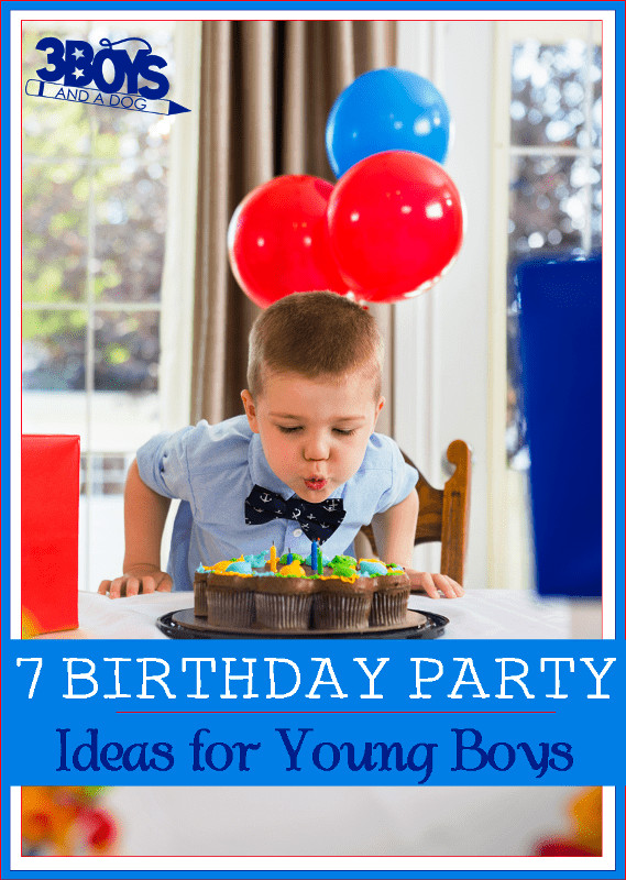 Boy Birthday Party
 7 Birthday Party Theme Ideas for Young Boys – 3 Boys and a Dog