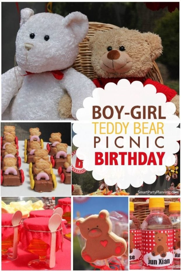 Boy Girl Birthday Party Ideas
 A Teddy Bear Picnic Joint Boy & Girl Birthday Party