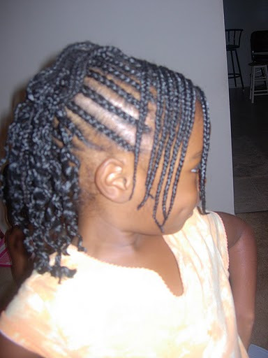 Braided Hairstyles For African Americans Little Girls
 braided hairstyle African American little girls