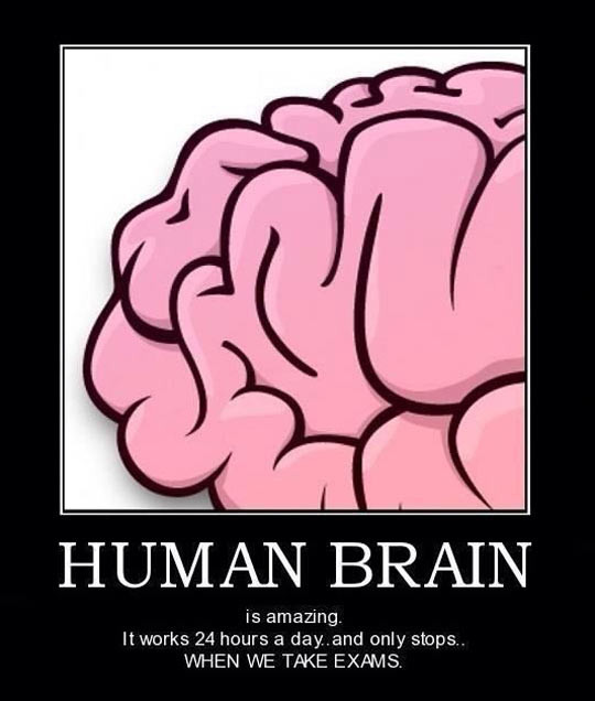 Brain Quotes Funny
 Human brain is greatest one…