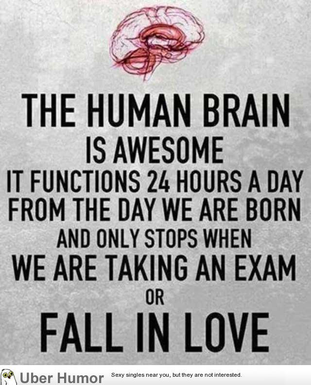 Brain Quotes Funny
 The human brain