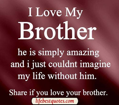 Brotherly Love Quotes
 Quotes About Losing Your Brother QuotesGram