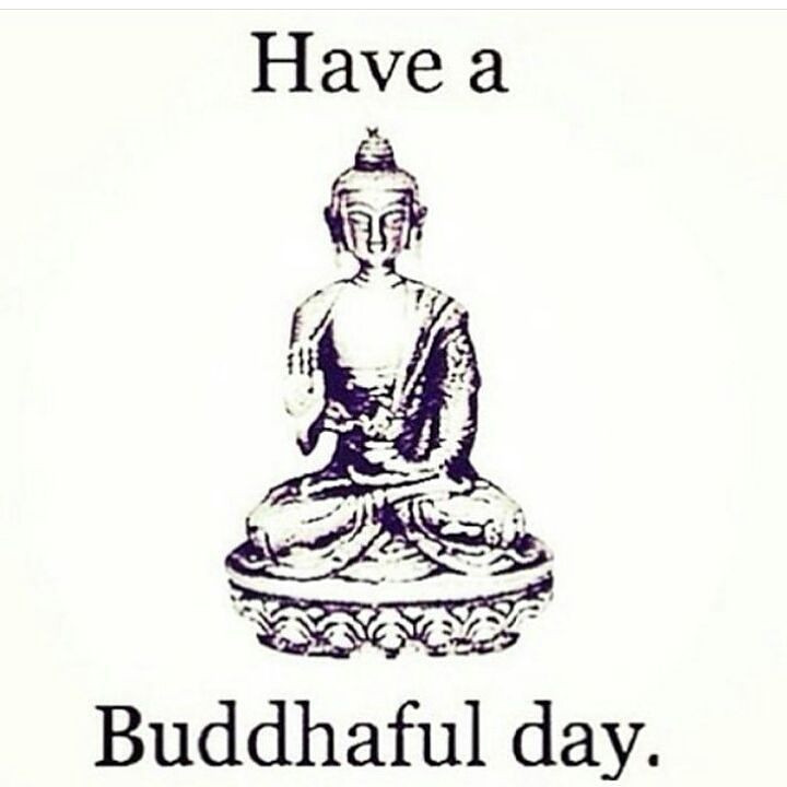 Buddhist Birthday Quotes
 Have a Buddhaful day m eye nd