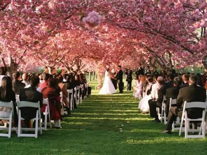 Budget Wedding Venues
 Bride on a Bud 20 Free or Cheap Places to Get Married