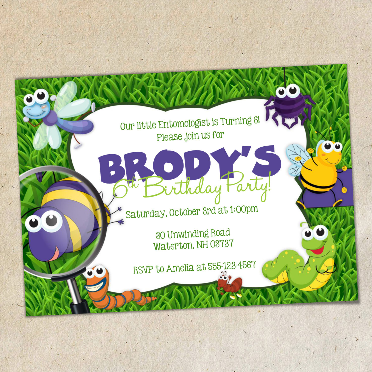 Bug Birthday Party Invitations
 Bugs Party Invitation TEMPLATE Insects Bug Party Invite