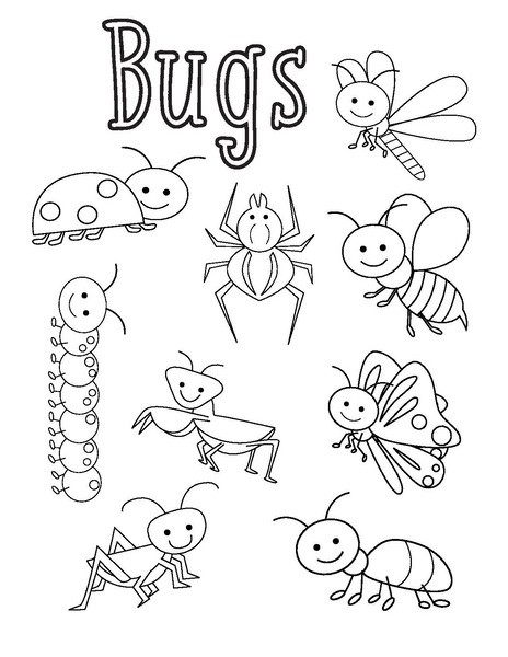 Bug Coloring Pages For Kids
 bugs coloring pages funnycrafts