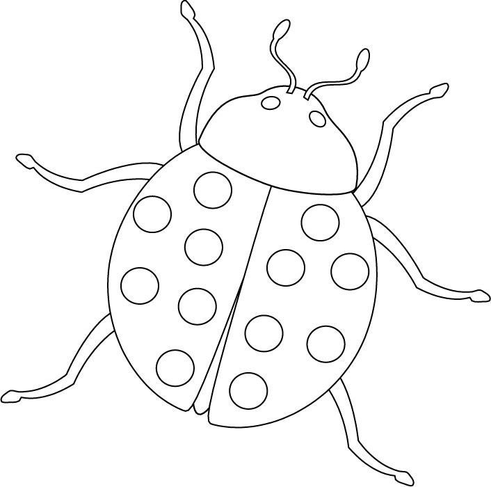 Bug Coloring Pages For Kids
 Free Printable Bug Coloring Pages For Kids