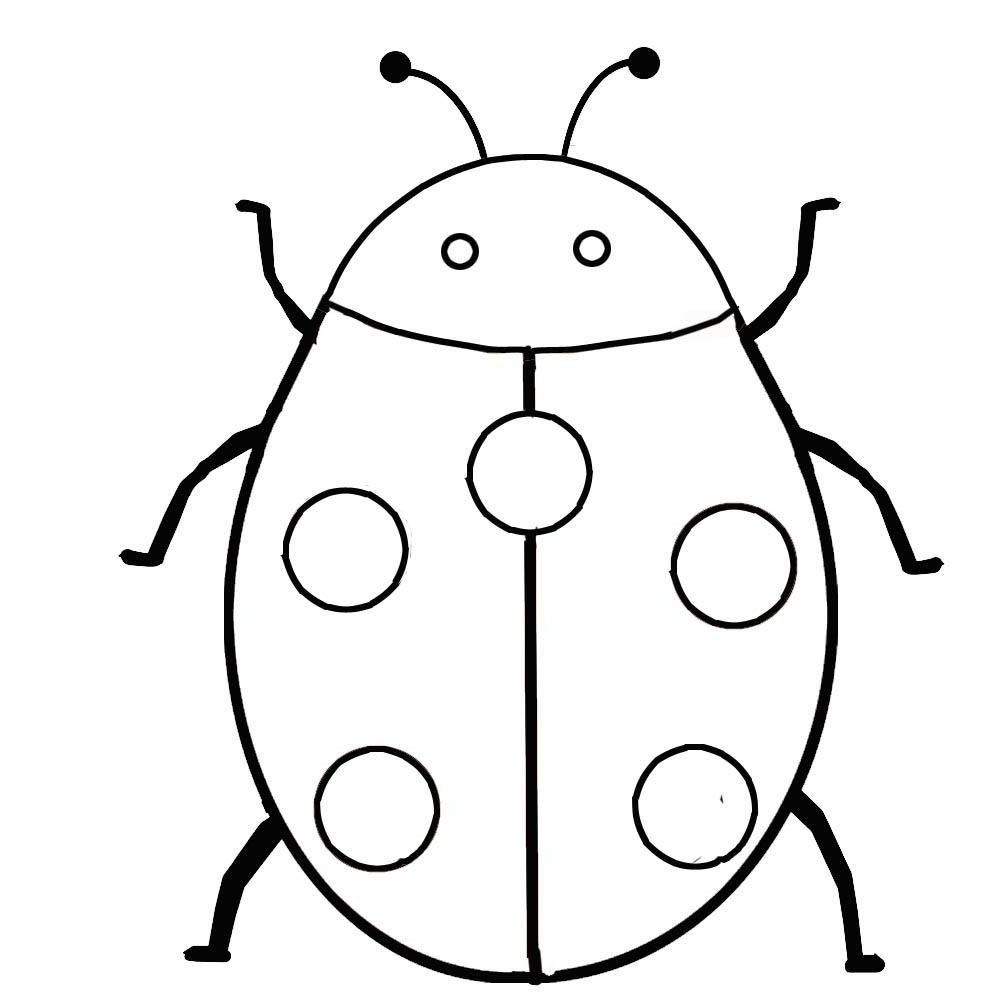 Bug Coloring Pages For Kids
 Bugs and Insects Coloring Pages
