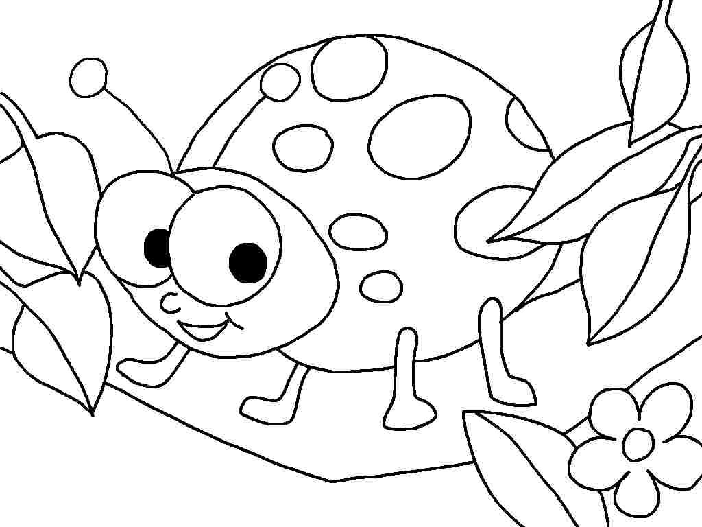 Bug Coloring Pages For Kids
 Lady Bug Coloring Pages