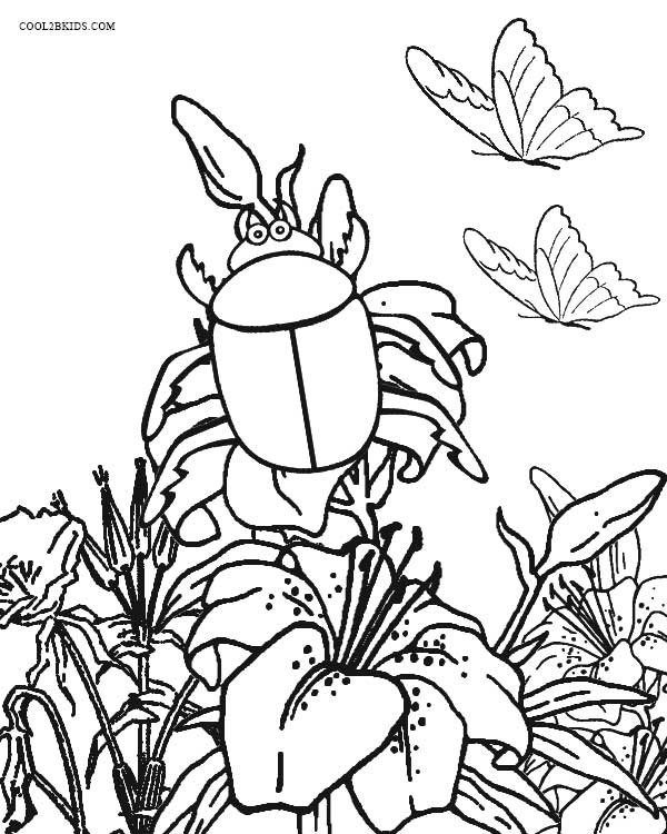 Bug Coloring Pages For Kids
 Printable Bug Coloring Pages For Kids