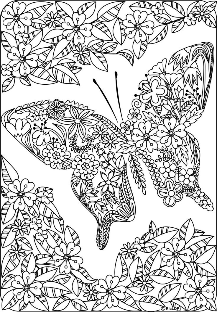 Butterfly Coloring Book For Adults
 75 best images about butterfly coloring pages on Pinterest