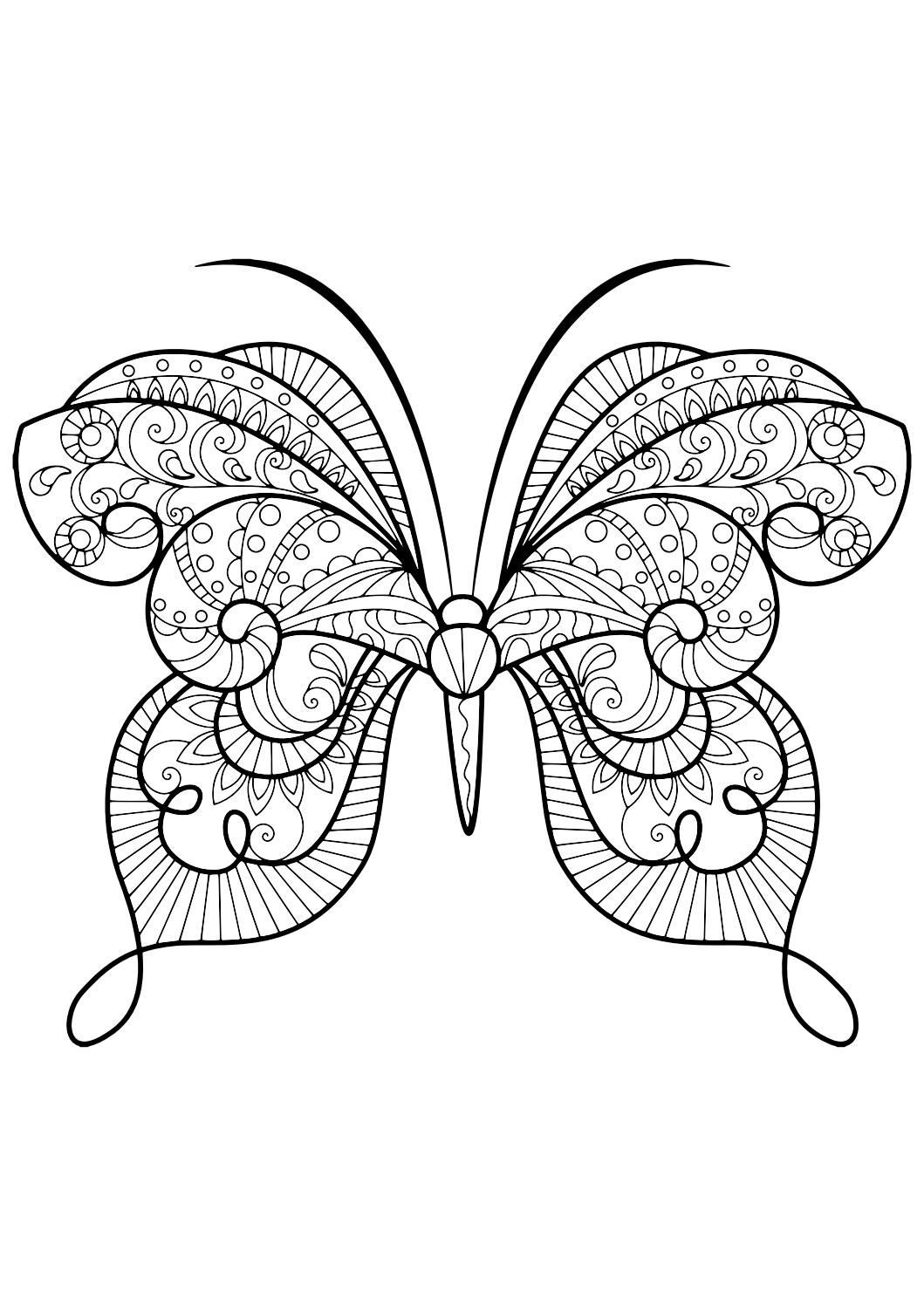 Butterfly Coloring Book For Adults
 Adult Butterfly Coloring Book