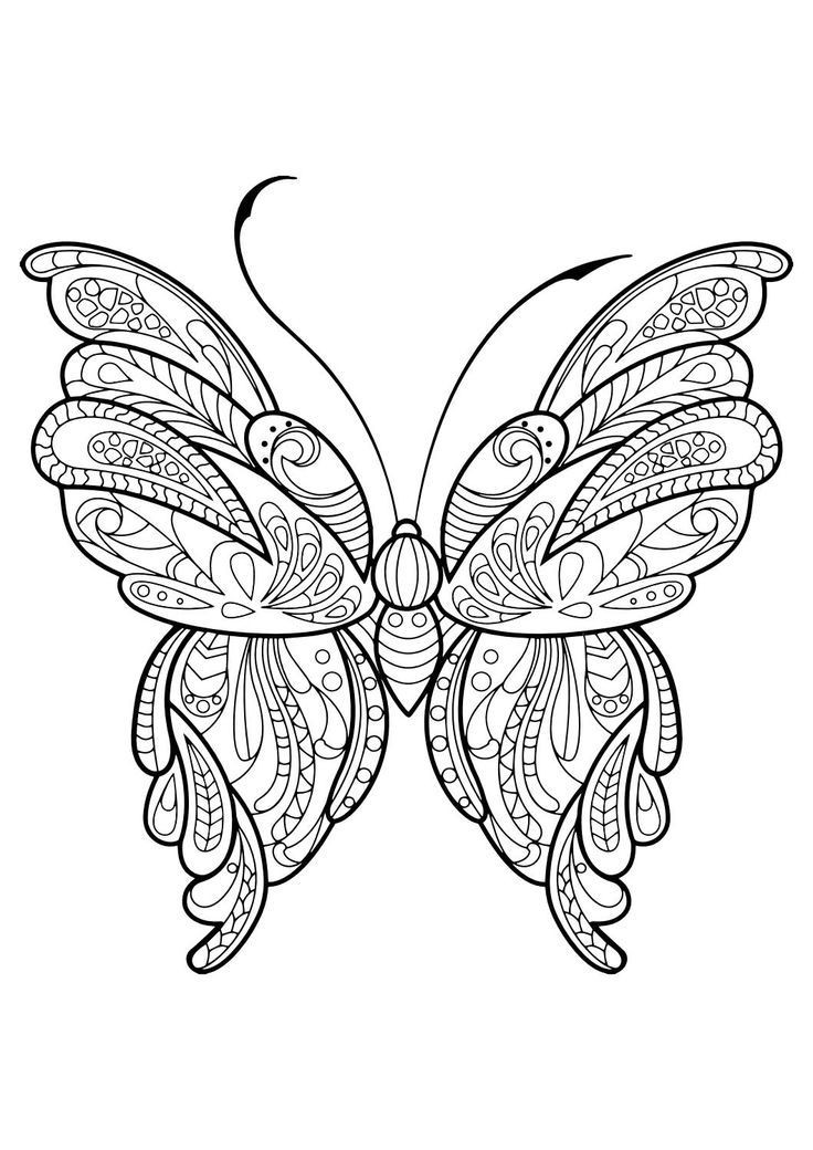 Butterfly Coloring Book For Adults
 Adult Butterfly Coloring Book