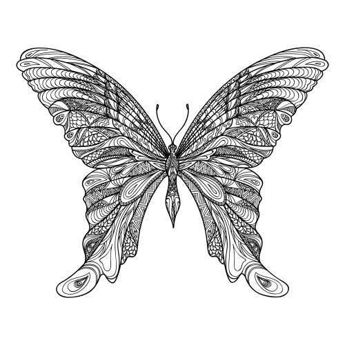 Butterfly Coloring Book For Adults
 Adult Coloring Pages Amazing Butterfly