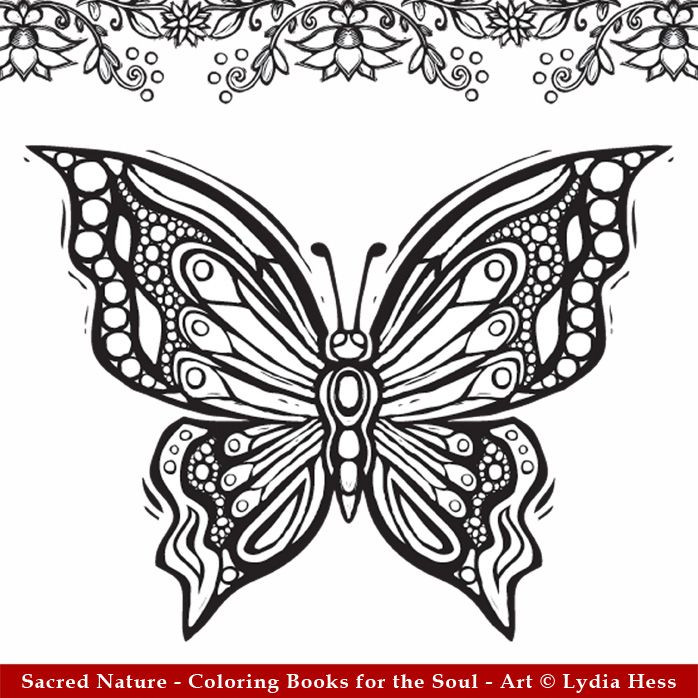 Butterfly Coloring Book For Adults
 523 best Butterflies to Color images on Pinterest