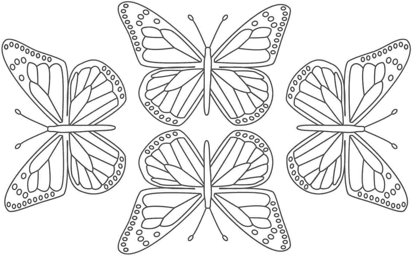 Butterfly Coloring Book For Adults
 Butterfly For Adults To Color