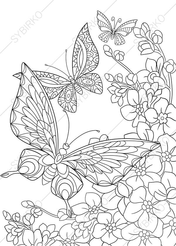 Butterfly Coloring Book For Adults
 Butterfly and Spring Flowers 3 Coloring Pages Animal