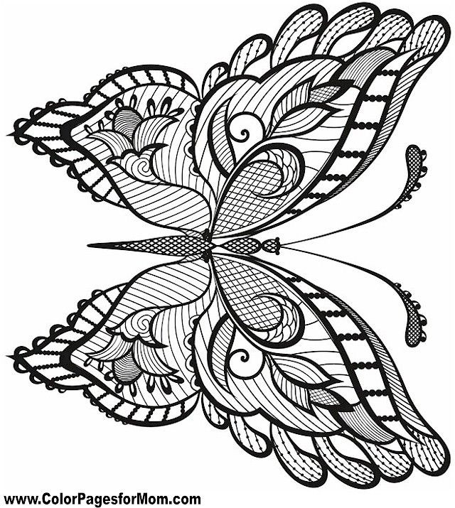 Butterfly Coloring Book For Adults
 Butterfly Coloring Page 38