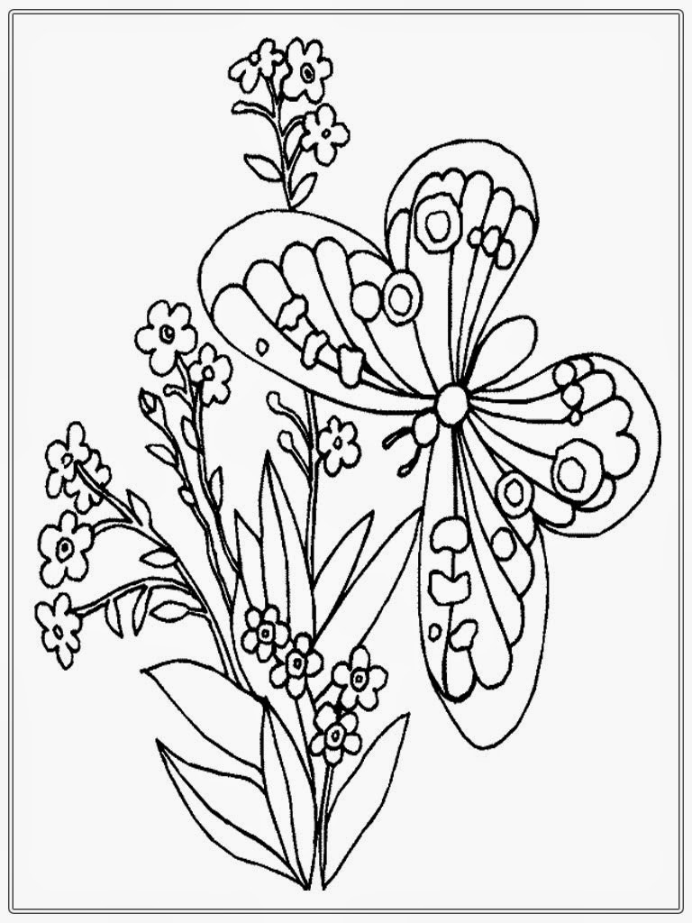 Butterfly Coloring Book For Adults
 Butterfly Coloring Pages For Adults Coloring Pages