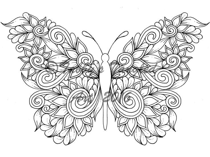 Butterfly Coloring Book For Adults
 Butterfly Drawing To Print at GetDrawings