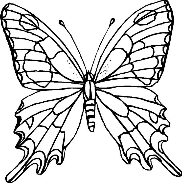 Butterfly Coloring Book For Adults
 Difficult Coloring Pages For Adults