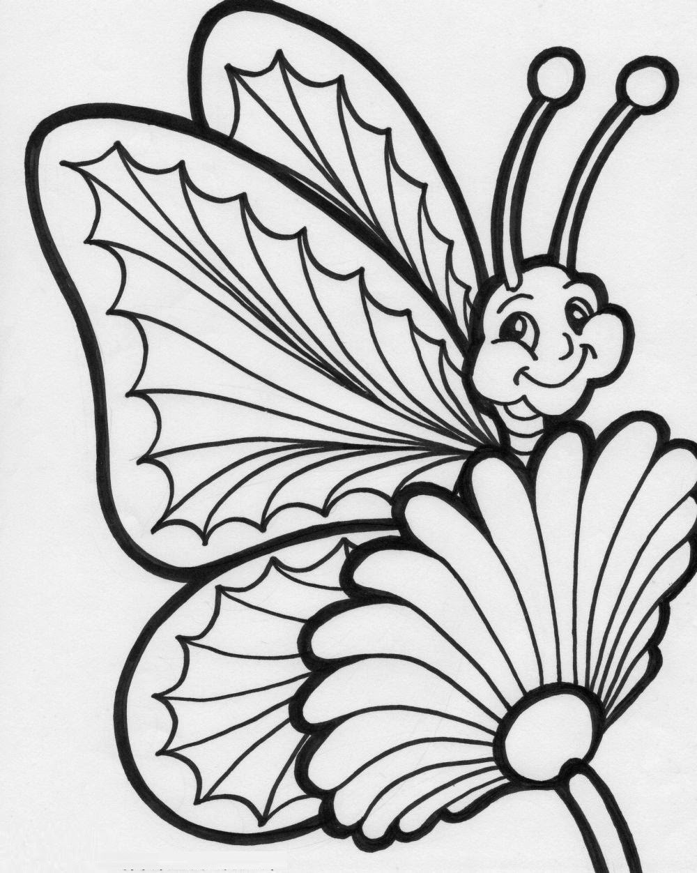 Butterfly Coloring Pages Printable
 colours drawing wallpaper Beautiful Colour Butterflies