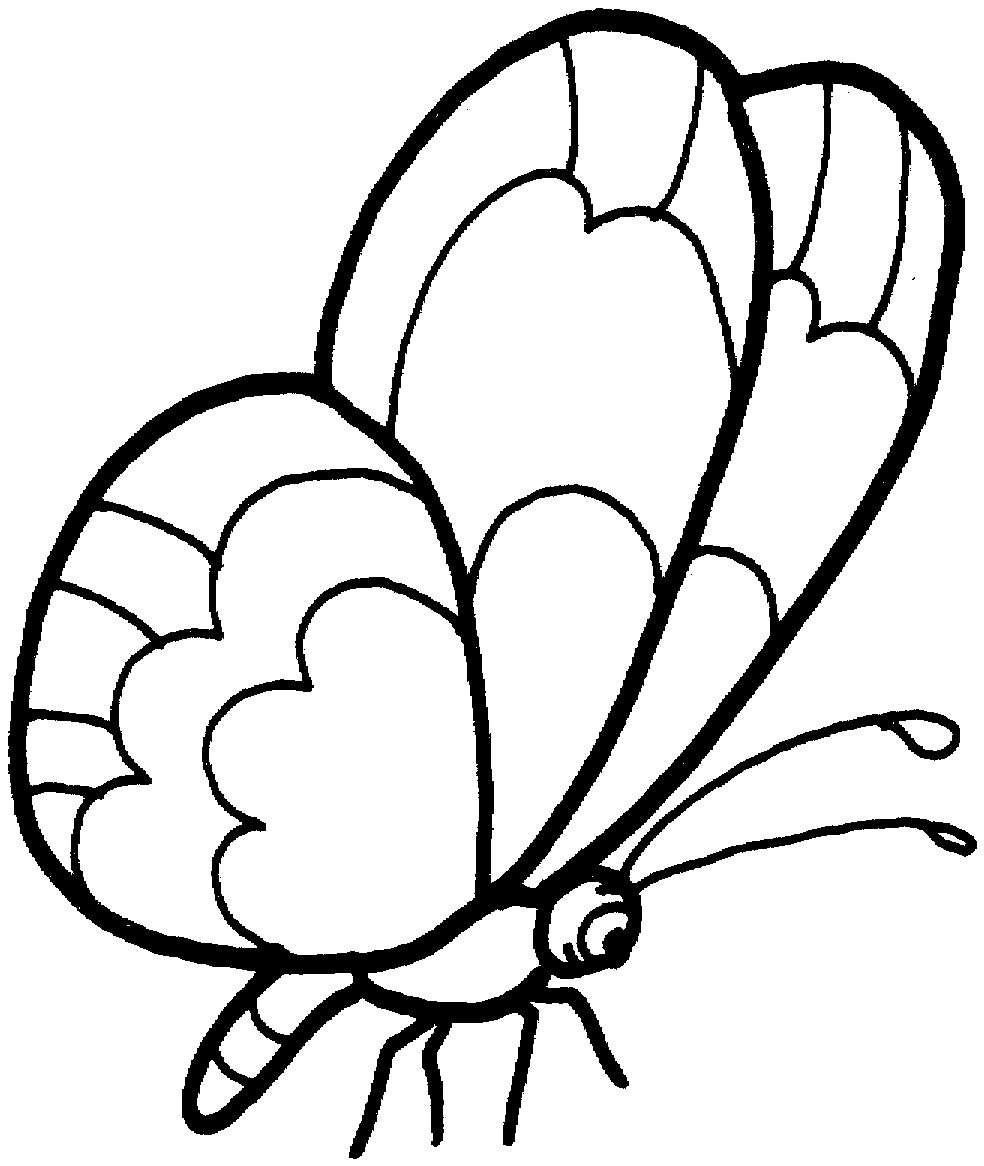 Butterfly Coloring Pages Printable
 Butterfly Coloring Pages