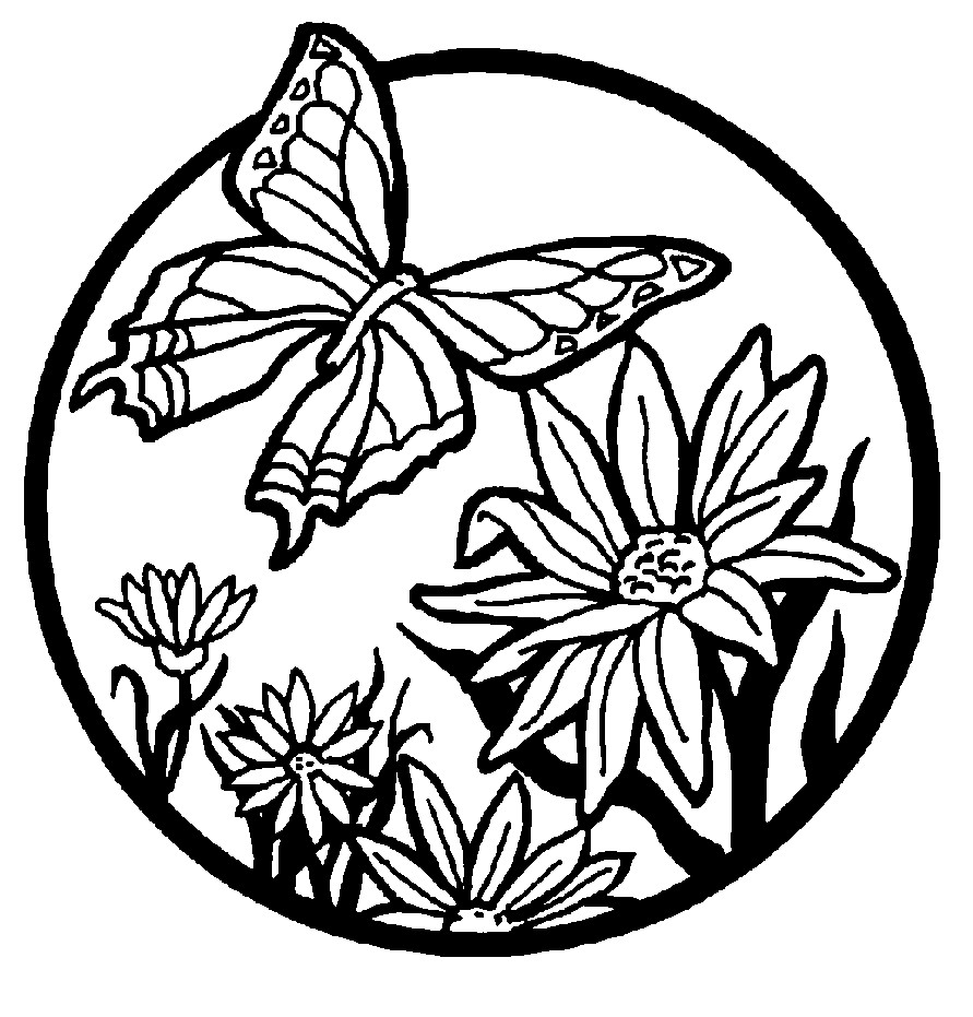Butterfly Coloring Pages Printable
 Free Printable Butterfly Coloring Pages For Kids