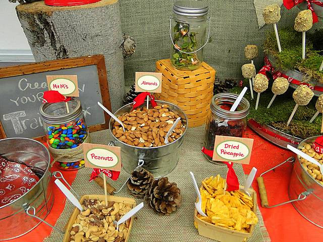 Camping Birthday Party Supplies
 Party Wishes Camping Party