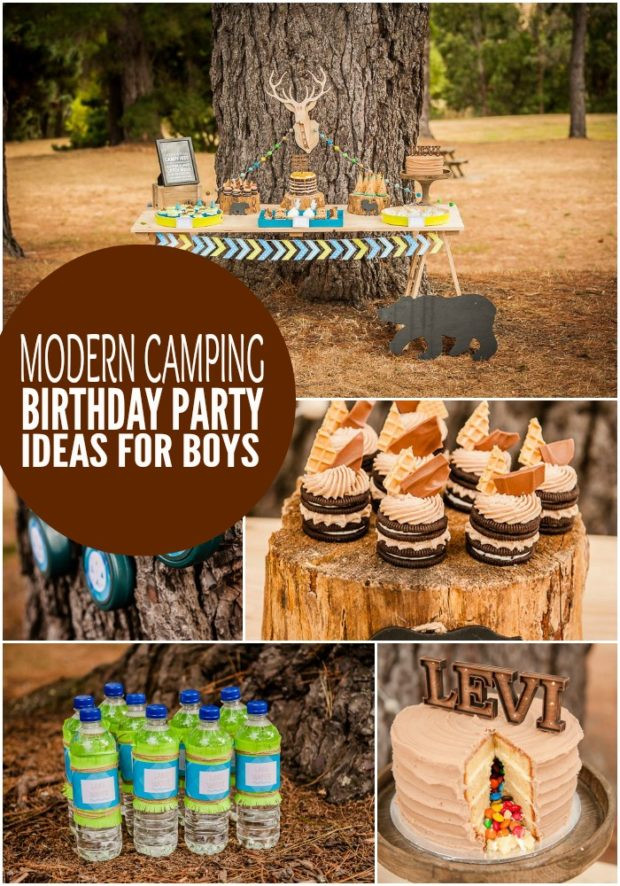 Camping Birthday Party Supplies
 Boy s Modern Camping Birthday Party