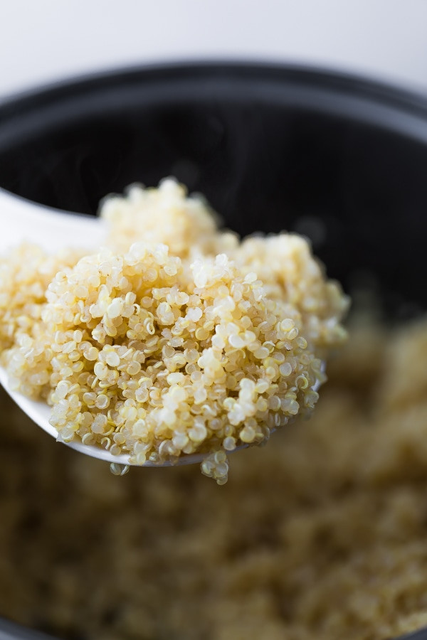 Can You Make Quinoa In A Rice Cooker
 How to Cook Quinoa in a Rice Cooker