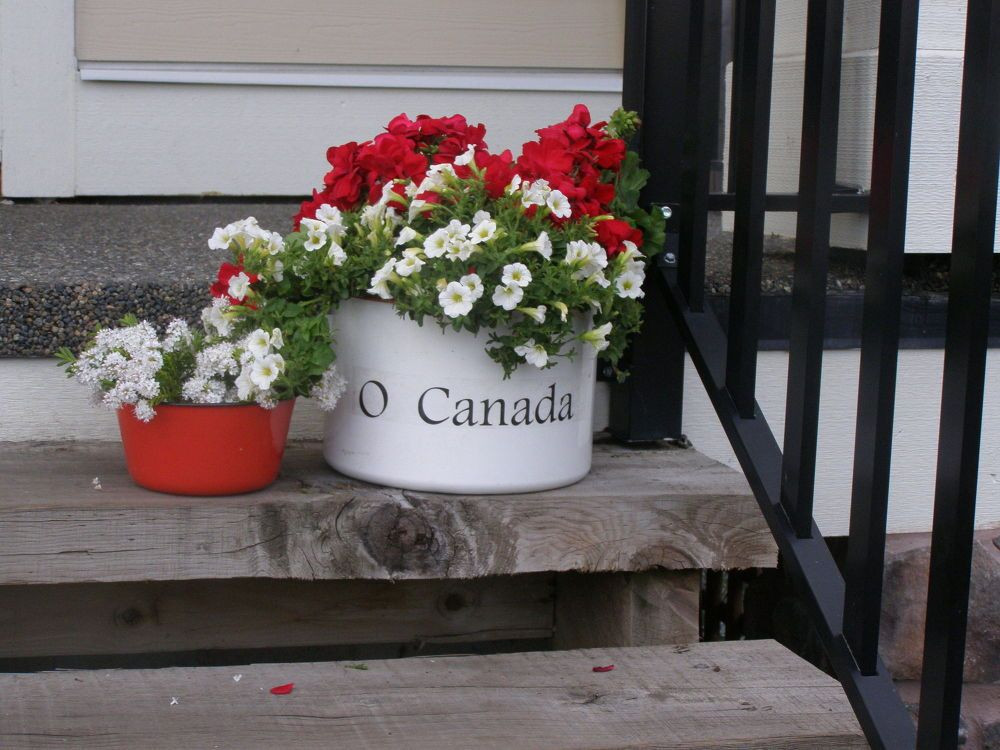 Canada Day Backyard Party Ideas
 O Canada Canada Day Porch Planter