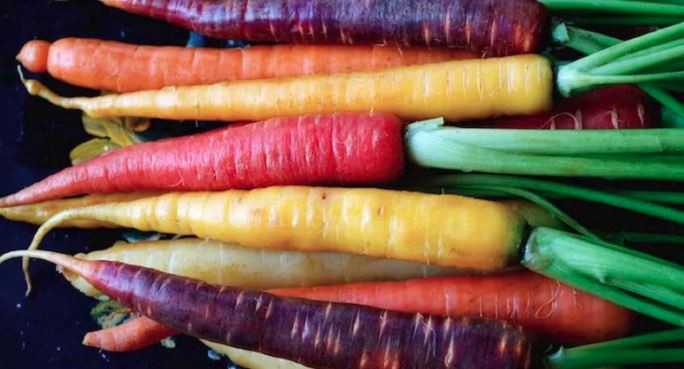 Carrot Dietary Fiber
 Carrots Benefits & Nutrition Facts Calories Carbs