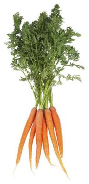 Carrot Dietary Fiber
 Dietary Fiber Facts for Carrots Woman