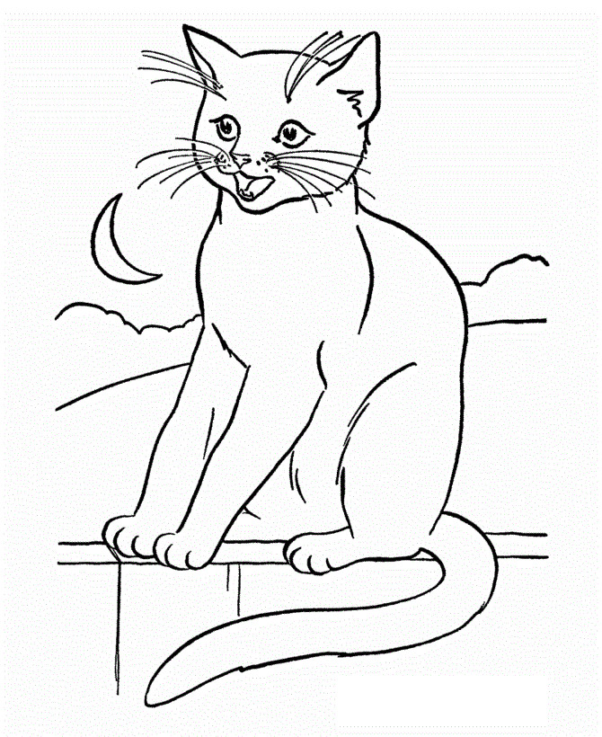 Cat Coloring Pages For Toddlers
 Free Printable Cat Coloring Pages For Kids