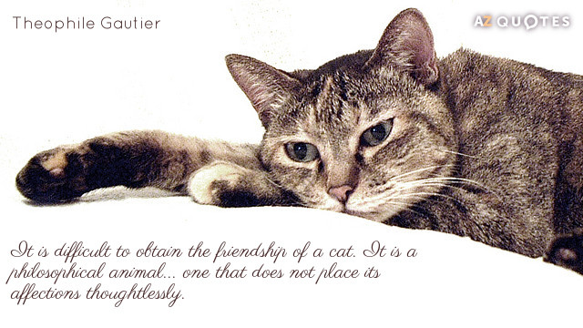 Cat Friendship Quotes
 TOP 25 ANIMAL QUOTES of 1000