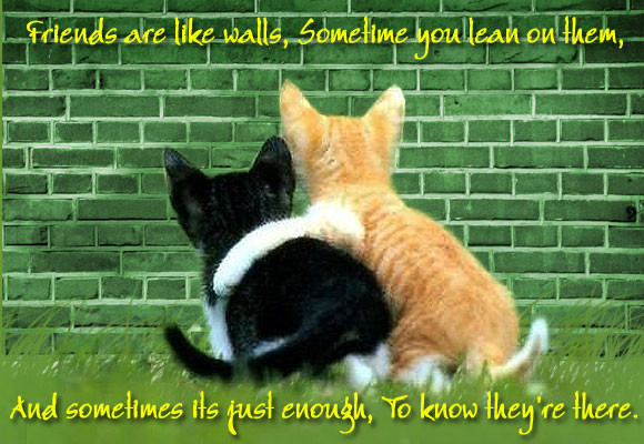 Cat Friendship Quotes
 Top 8 favourite friendship quotes yours too