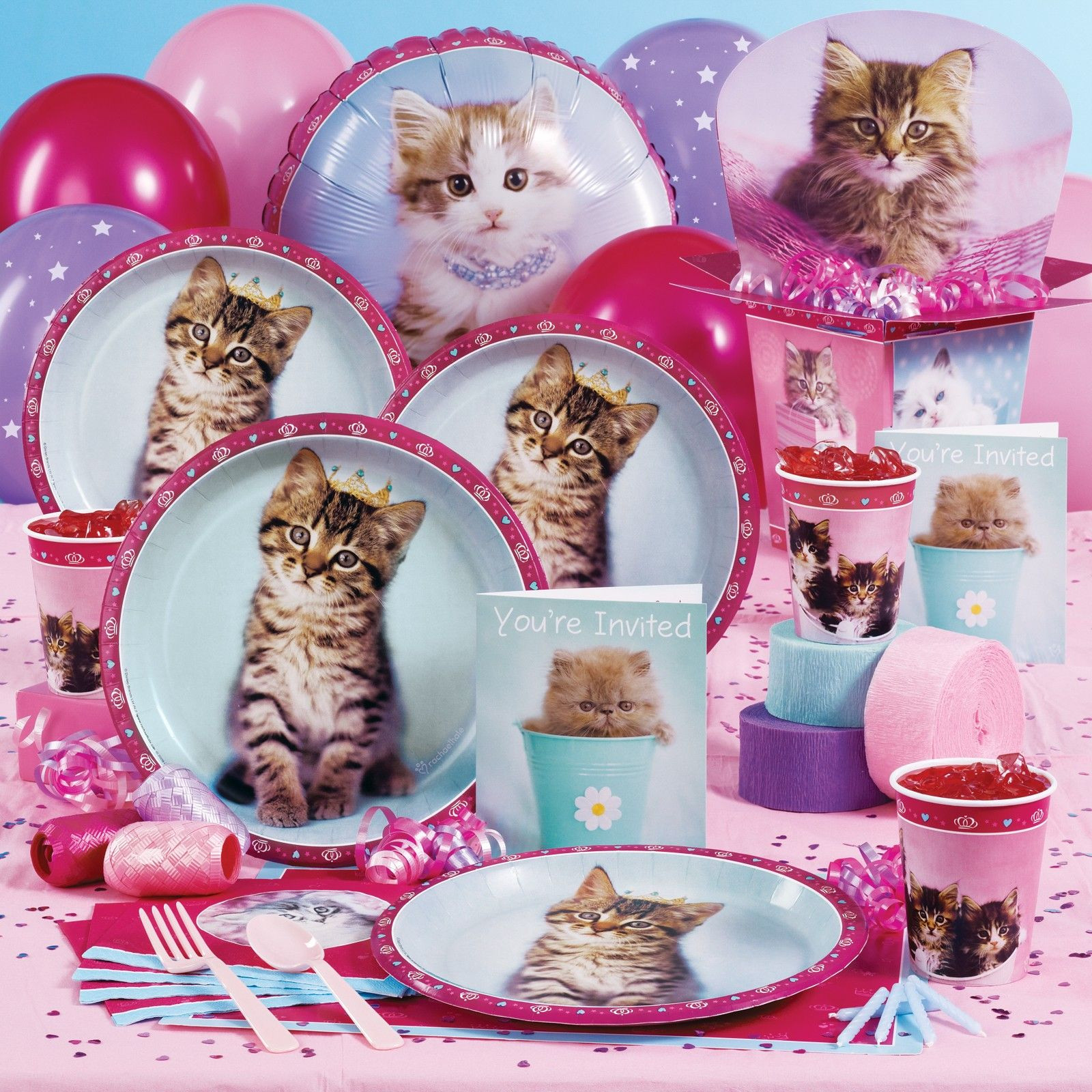 Cat Themed Birthday Party
 Princess kitty party supplies from Birthday Express in
