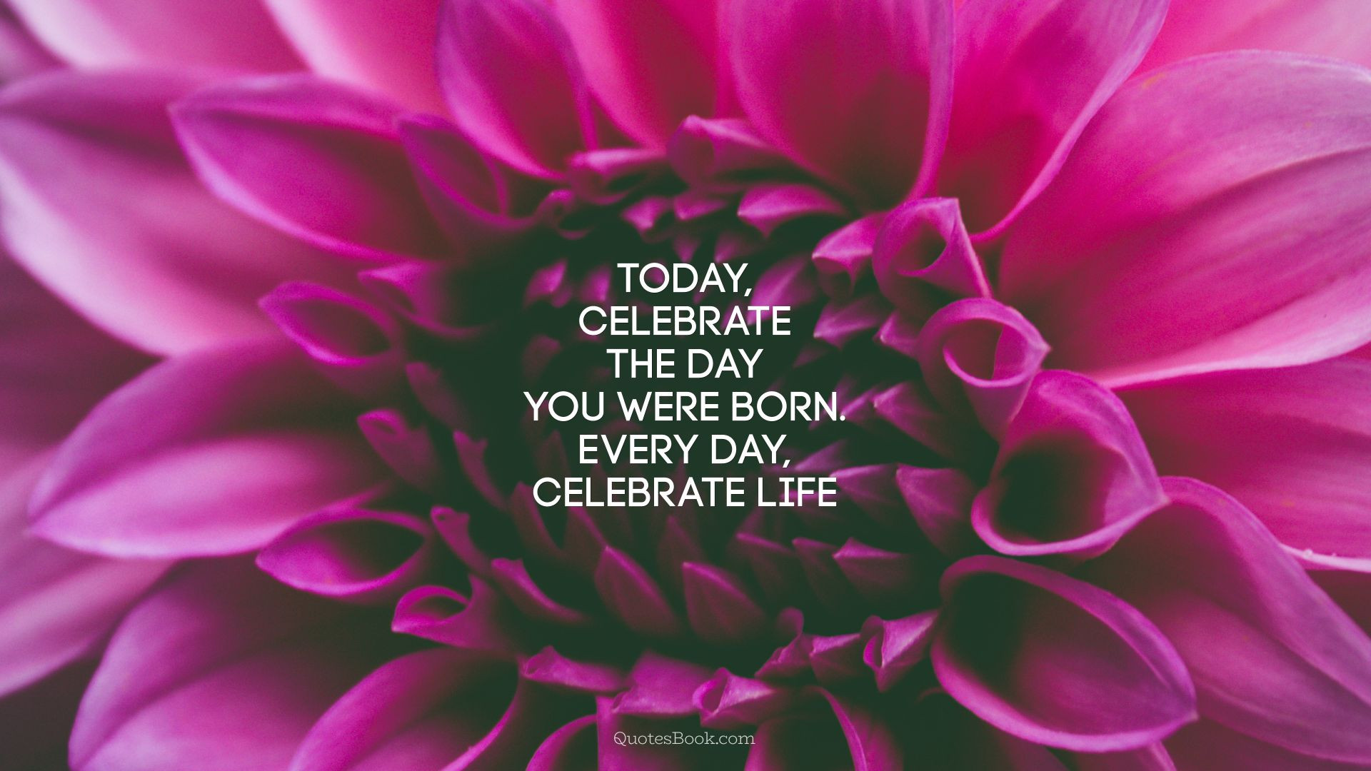 Celebrate Birthday Quotes
 Today celebrate the day you were born Every day