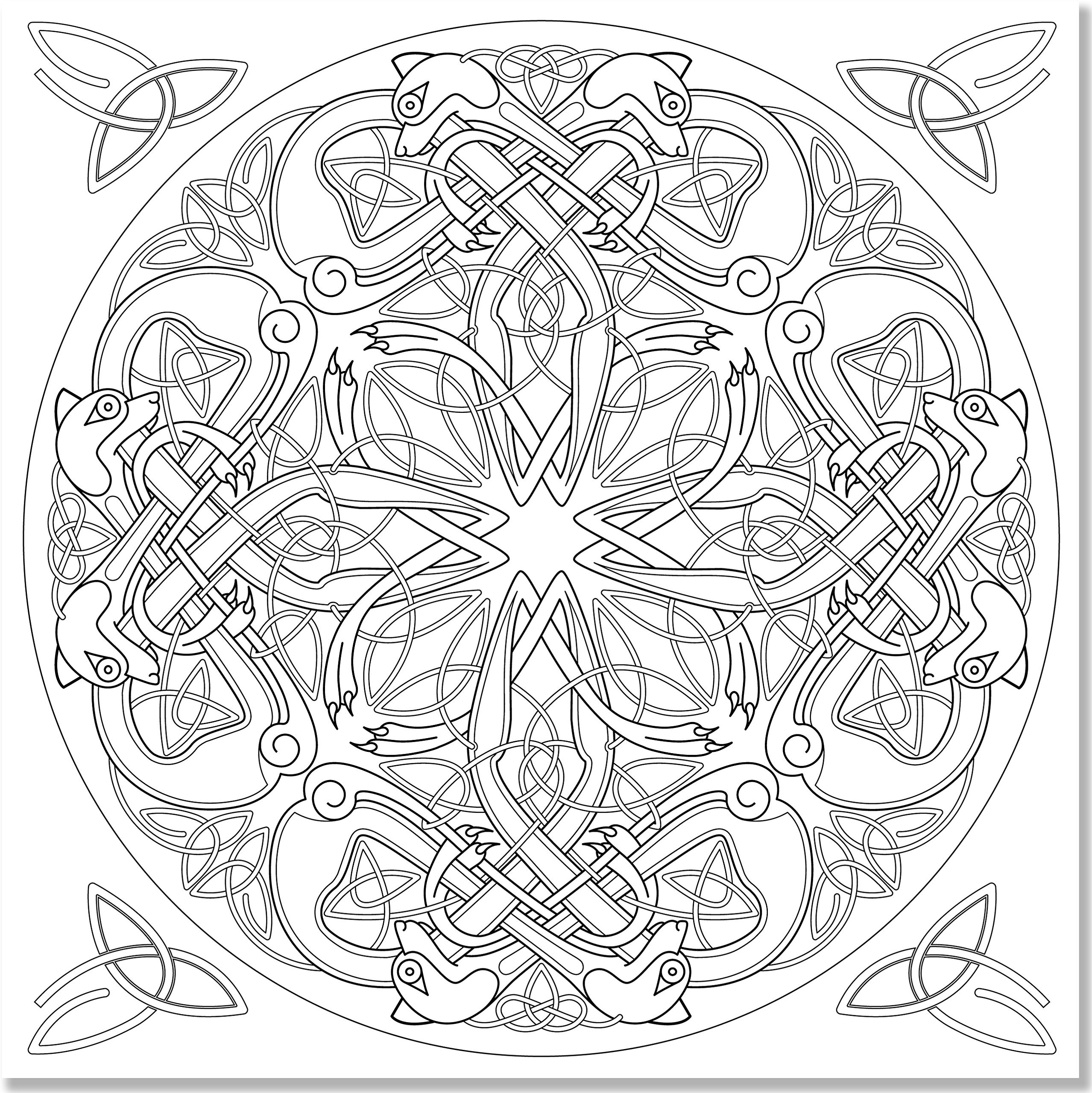 Celtic Adult Coloring Book
 Coloring Pages Seductive Celtic Coloring Pages For Adults