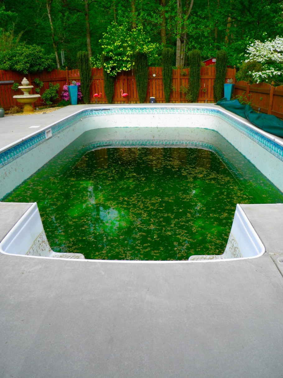 Cheap Above Ground Pool Liners
 Pool Cheap Pool Liners Design To Protect Your ground