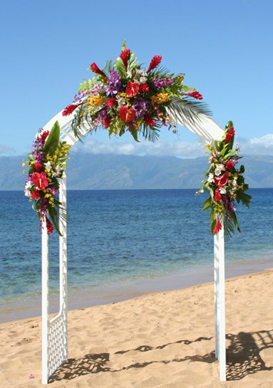 Cheap Beach Wedding Decorations
 Cheap Beach Wedding Ideas