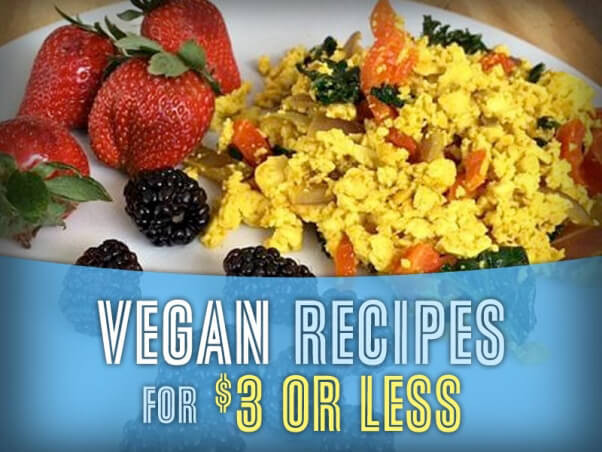 Cheap Vegan Recipes
 Save Money With These Vegan Recipes Under $3