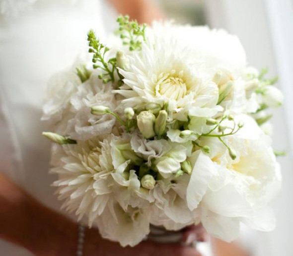 Cheapest Flowers For Weddings
 15 Breathtaking Inexpensive Wedding Flowers EverAfterGuide