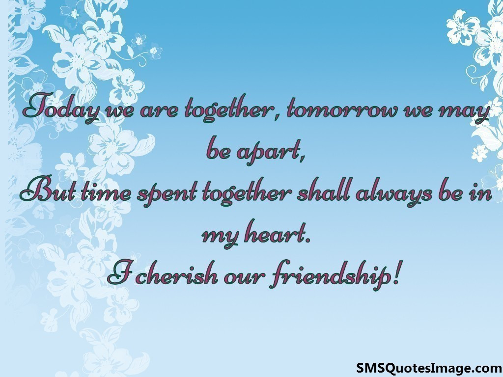 Cherish Friendship Quotes
 I cherish our friendship Friendship SMS Quotes Image