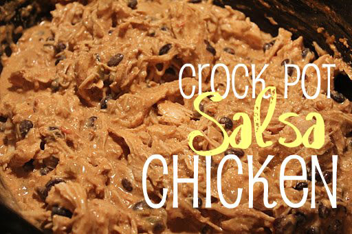 Chicken And Salsa Crock Pot Recipe
 Crock Pot Salsa Chicken