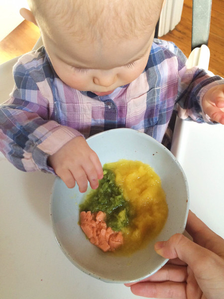 Chicken Baby Recipes
 Homemade Baby Food Chicken and Carrot Puree